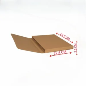 کارتن دایکاتی